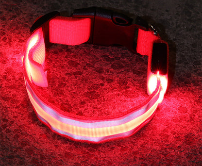 Anti-lost Led Luminous Pet Collar