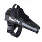 Personalized Pet Harness NO PULL Reflective Breathable Adjustable Harness