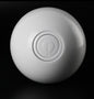 LED Laser Electronic Rolling Pet Funny Toy Ball