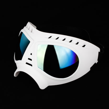 Pet Sunglasses Windproof Glasses