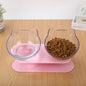 New Inclined Oblique Mouth Transparent Single Pet Bowl
