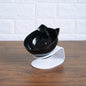 New Inclined Oblique Mouth Transparent Single Pet Bowl