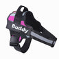 Personalized Pet Harness NO PULL Reflective Breathable Adjustable Harness