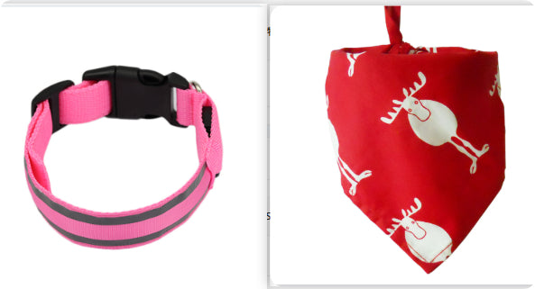 Anti-lost Led Luminous Pet Collar