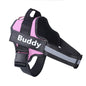 Personalized Pet Harness NO PULL Reflective Breathable Adjustable Harness