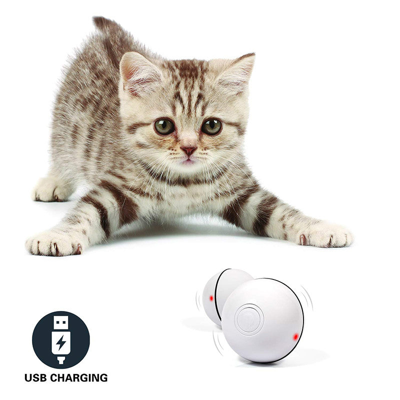 LED Laser Electronic Rolling Pet Funny Toy Ball