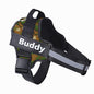 Personalized Pet Harness NO PULL Reflective Breathable Adjustable Harness