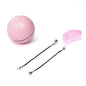 LED Laser Electronic Rolling Pet Funny Toy Ball