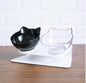 New Inclined Oblique Mouth Transparent Single Pet Bowl