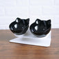 New Inclined Oblique Mouth Transparent Single Pet Bowl