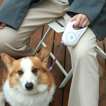 Pet Retractable Leash And Collar Spotlight Automatic Traction Rope