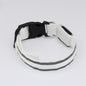 Anti-lost Led Luminous Pet Collar