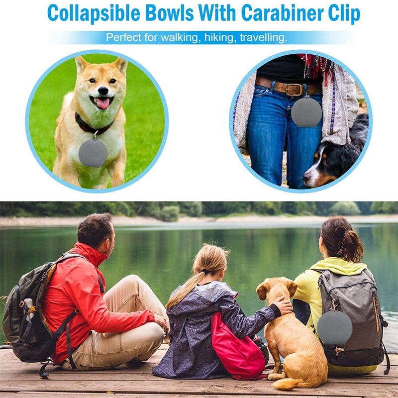 Rubber Foldable Double Feeding Bowl