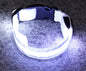 Anti-lost Led Luminous Pet Collar