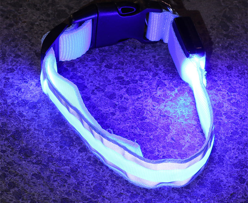 Anti-lost Led Luminous Pet Collar