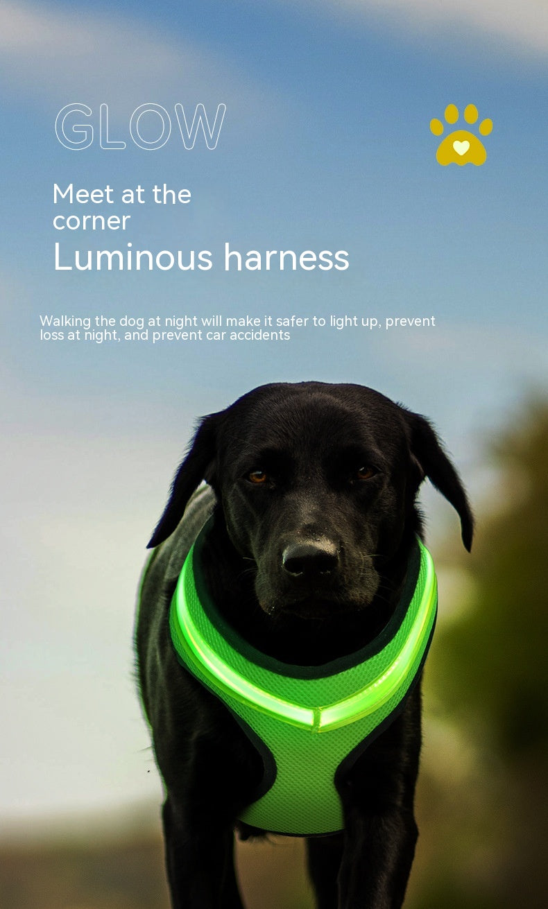 LED Luminous Pet Harness Led USB Charging Chest Strap Vest