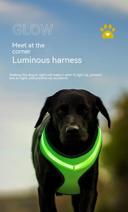 LED Luminous Pet Harness Led USB Charging Chest Strap Vest