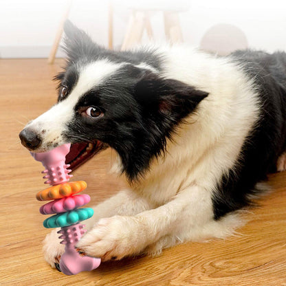 Pet Chew Teeth Cleaning Toy Dog Bone Type