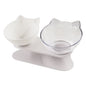 New Inclined Oblique Mouth Transparent Single Pet Bowl